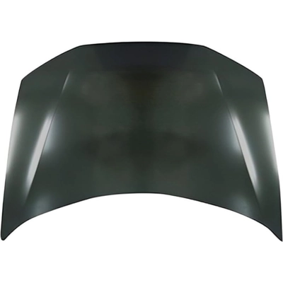 Hood Panel Assembly - HO1230165 pa2