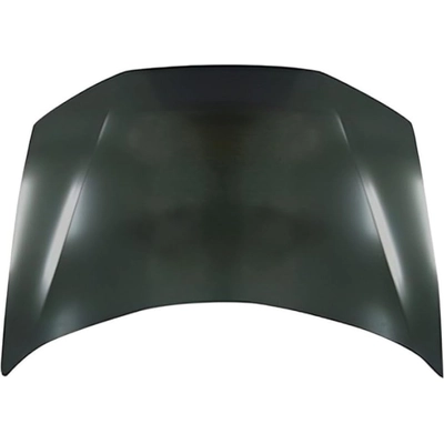 Hood Panel Assembly - HO1230165C pa1