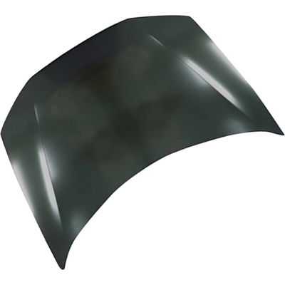Hood Panel Assembly - HO1230165C pa2