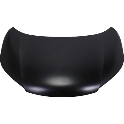 Hood Panel Assembly - HO1230168 pa1