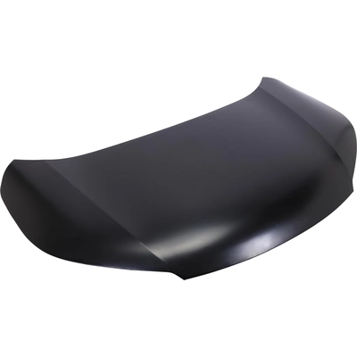 Hood Panel Assembly - HO1230168 pa3