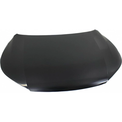 Hood Panel Assembly - HO1230170 pa2