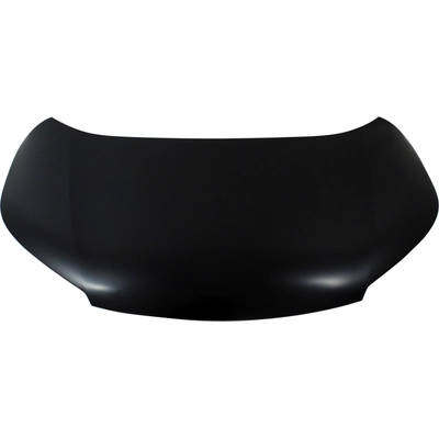 Hood Panel Assembly - HO1230177C pa1