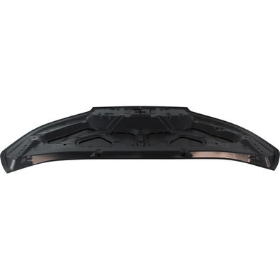 Hood Panel Assembly - HO1230177C pa2