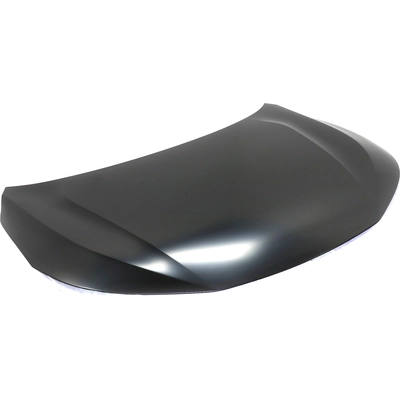 Hood Panel Assembly - HO1230185 pa2