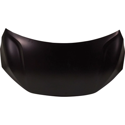 Hood Panel Assembly - HO1230190 pa2
