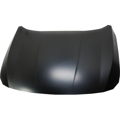 Hood Panel Assembly - HO1230192 pa1