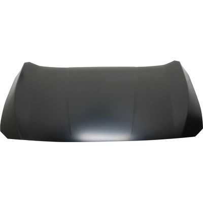 Hood Panel Assembly - HO1230192 pa2