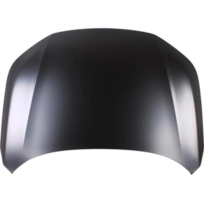 Hood Panel Assembly - HO1230195 pa1