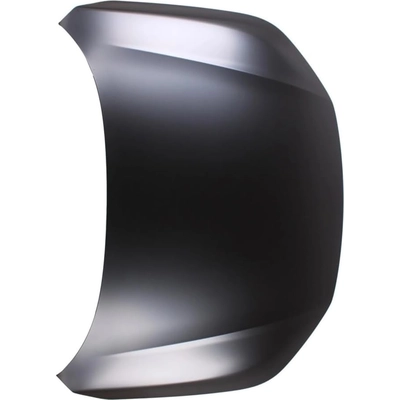Hood Panel Assembly - HO1230195 pa2