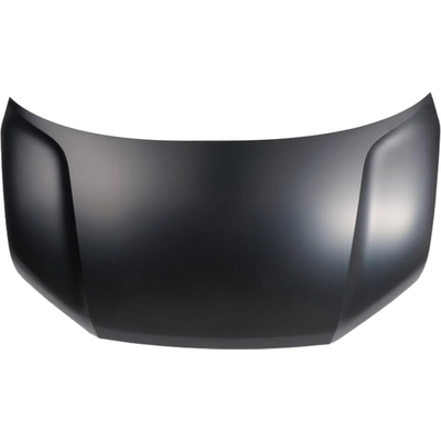 Hood Panel Assembly - HO1230197 pa1