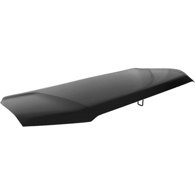 Hood Panel Assembly - HO1230197 pa2