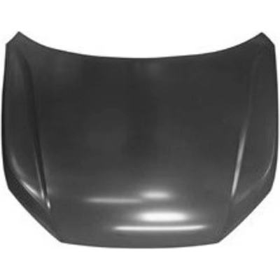 Hood Panel Assembly - HO1230199 pa1