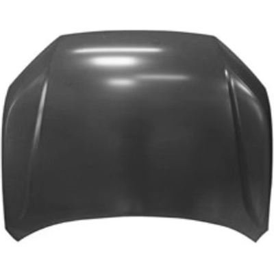 Hood Panel Assembly - HO1230199 pa2