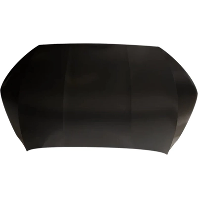 Hood Panel Assembly - HO1230200 pa1