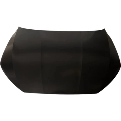 Hood Panel Assembly - HO1230200 pa2