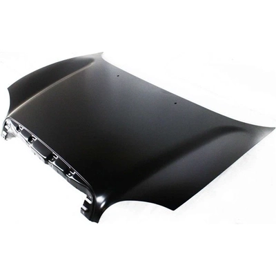 Hood Panel Assembly - HY1230120 pa2