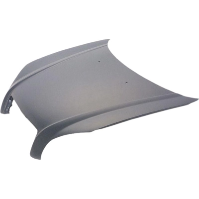 Hood Panel Assembly - HY1230133C pa2