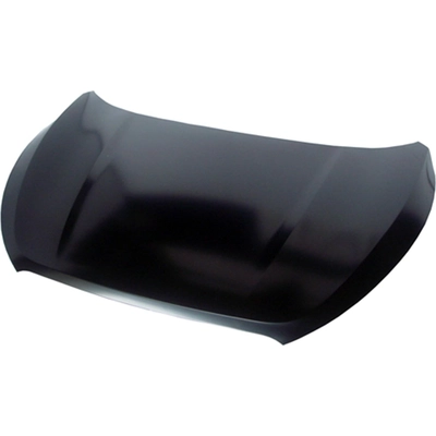 Hood Panel Assembly - HY1230144C pa1