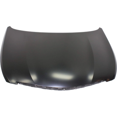 Hood Panel Assembly - HY1230147C pa1