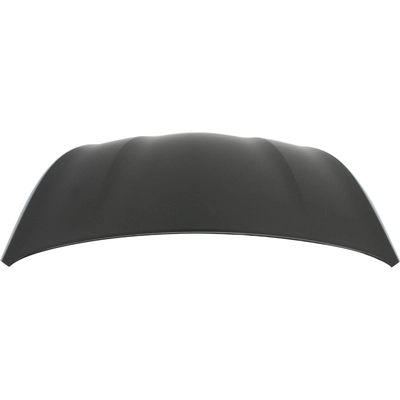 Hood Panel Assembly - HY1230147C pa2