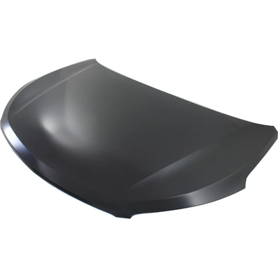 Hood Panel Assembly - HY1230157C pa2