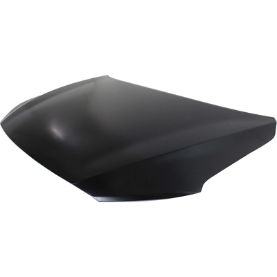 Hood Panel Assembly - HY1230168C pa1