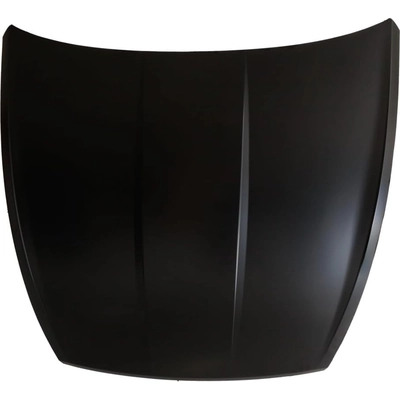 Hood Panel Assembly - HY1230180 pa1