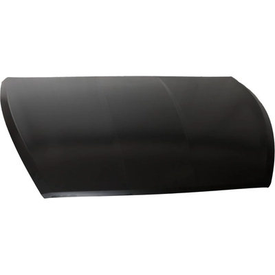 Hood Panel Assembly - HY1230180 pa2