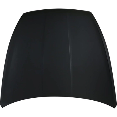 Hood Panel Assembly - HY1230180C pa1
