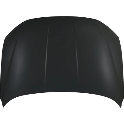 Hood Panel Assembly - HY1230186 pa1