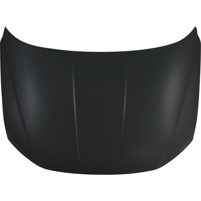 Hood Panel Assembly - HY1230186 pa2