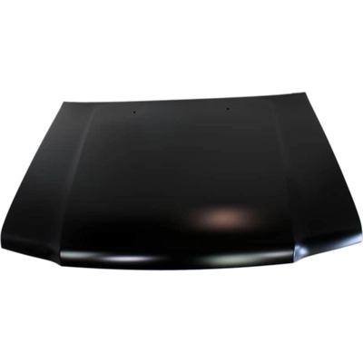 Hood Panel Assembly - IN1230111 pa1