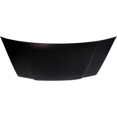 Hood Panel Assembly - IN1230111 pa2