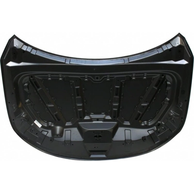 Hood Panel Assembly - KI1230126 pa2