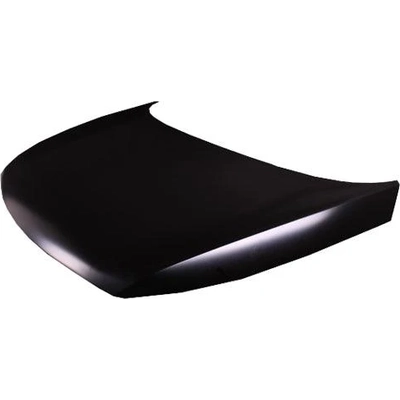 Hood Panel Assembly - KI1230129C pa1