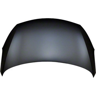 Hood Panel Assembly - KI1230132C pa1