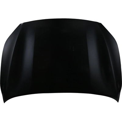 Hood Panel Assembly - KI1230144 pa1