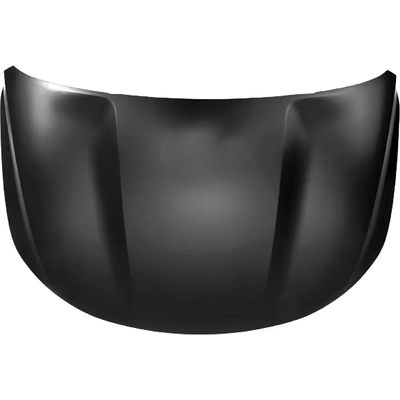 Hood Panel Assembly - KI1230148C pa1