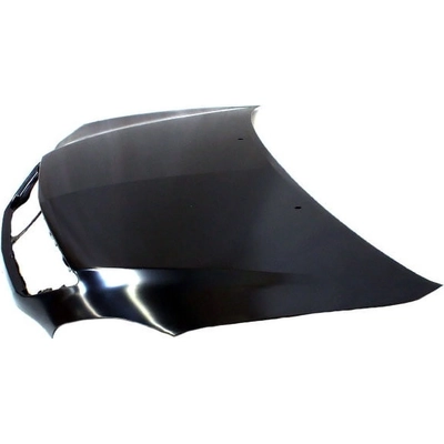Hood Panel Assembly - LX1230104 pa1