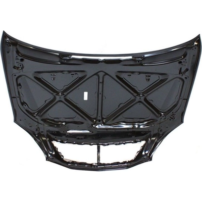 Hood Panel Assembly - LX1230104 pa2