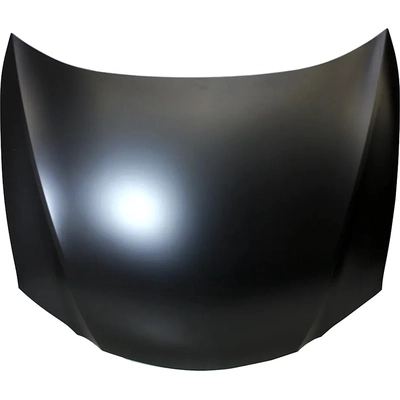 Hood Panel Assembly - LX1230107C pa1