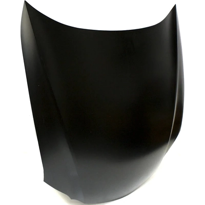 Hood Panel Assembly - LX1230107C pa2