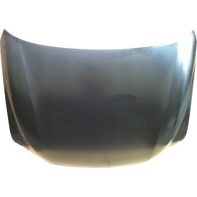 Hood Panel Assembly - LX1230119 pa1