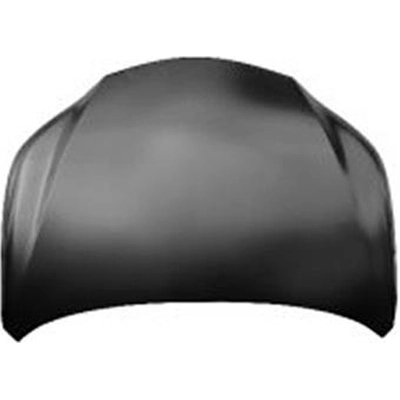 Hood Panel Assembly - LX1230130C pa1