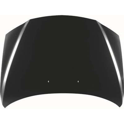 Hood Panel Assembly - MA1230154C pa1
