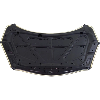 Hood Panel Assembly - MA1230167C pa1
