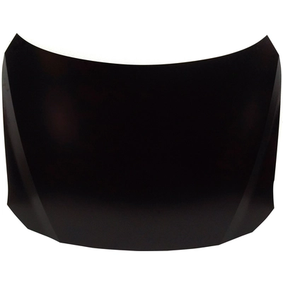 Hood Panel Assembly - MA1230177C pa1
