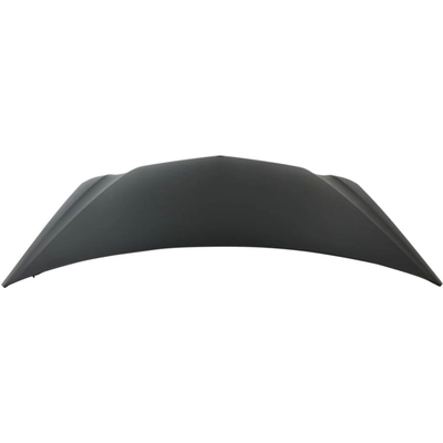 Hood Panel Assembly - MB1230126 pa2
