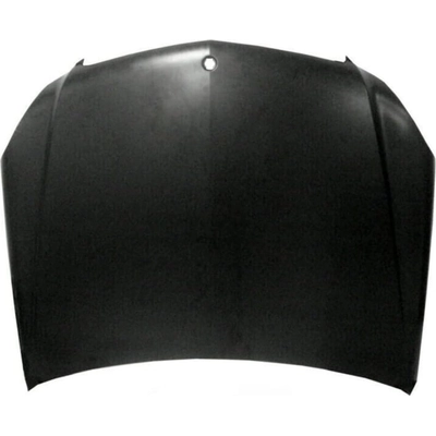 Hood Panel Assembly - MB1230129 pa1